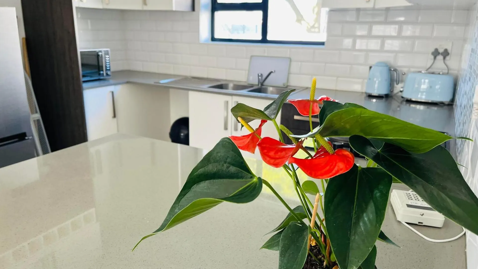 公寓式酒店 Mount Pleasant Suites 伊丽莎白港